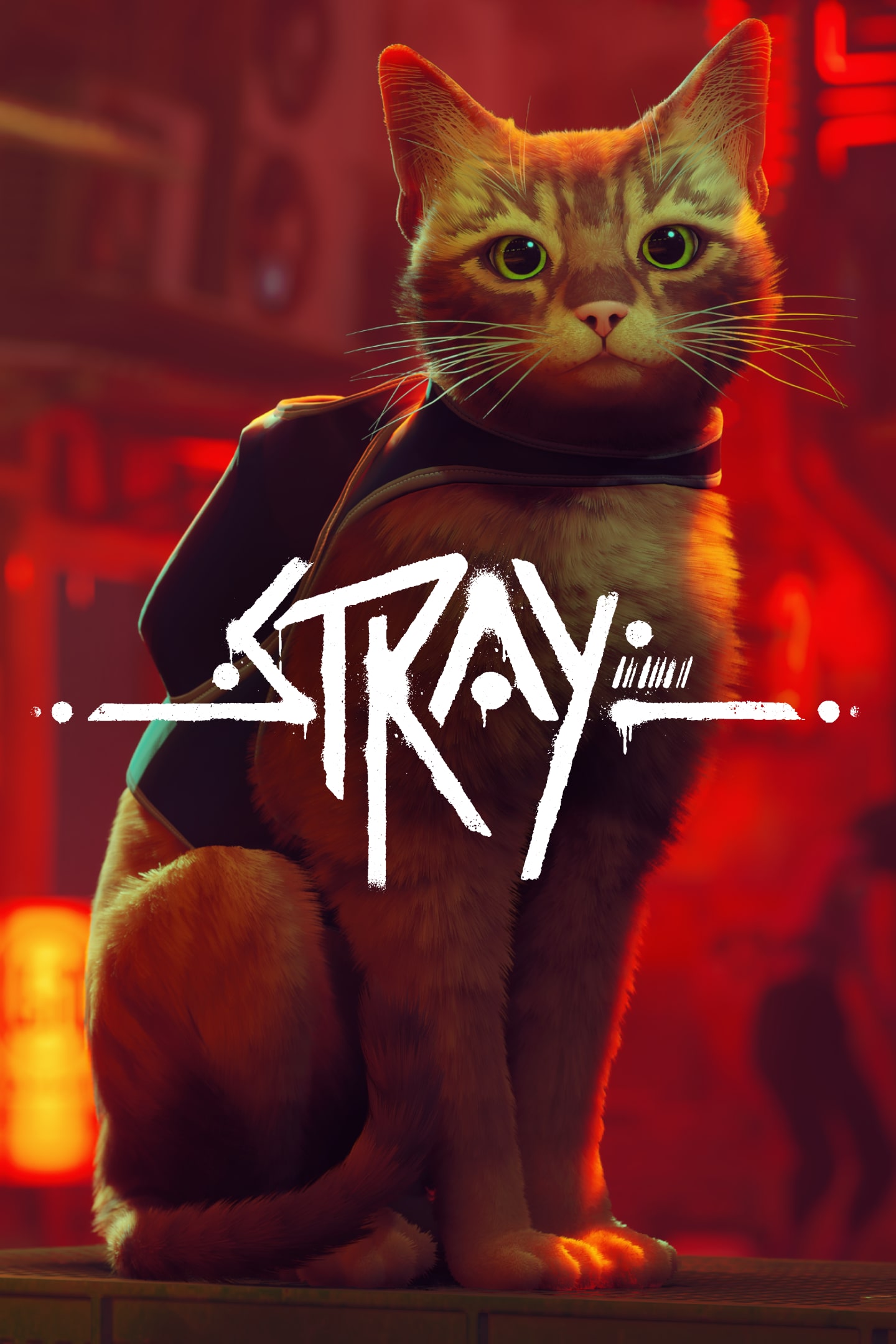 Stray cover