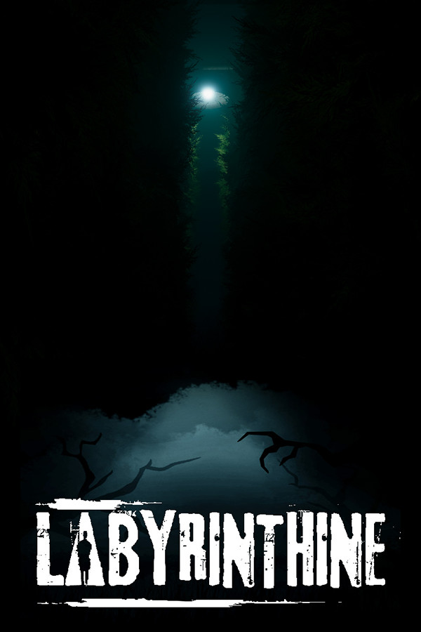 Labyrinthine cover