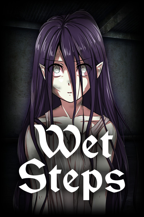 Wet steps cover